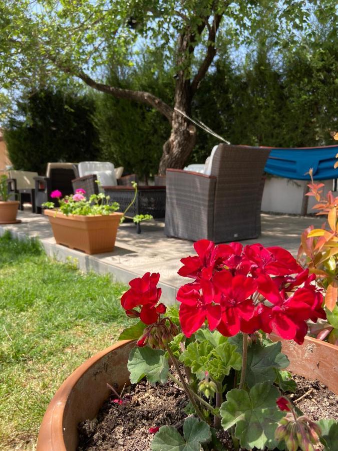 Safak Apart & Hotel Dalyan Exteriör bild